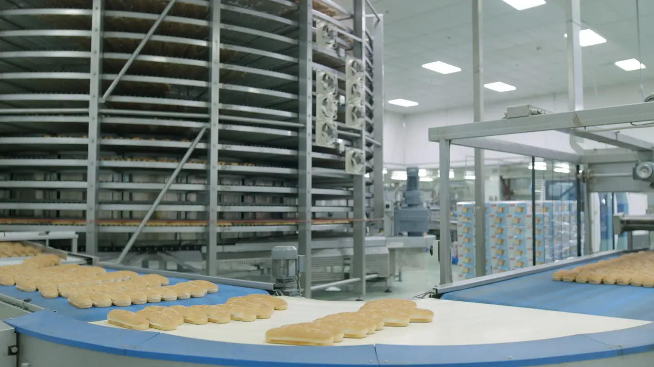 Freshly baked rolls moving along the Fonte production line
