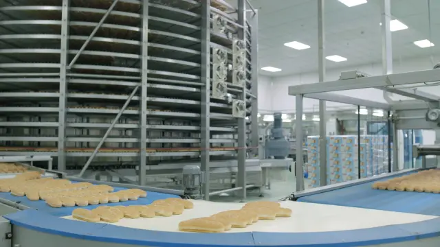 Fresh bread rolls on the Fonte production line